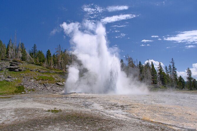 Self Guided Audio Walking Tour of Old Faithful Geyser Basin - FAQ