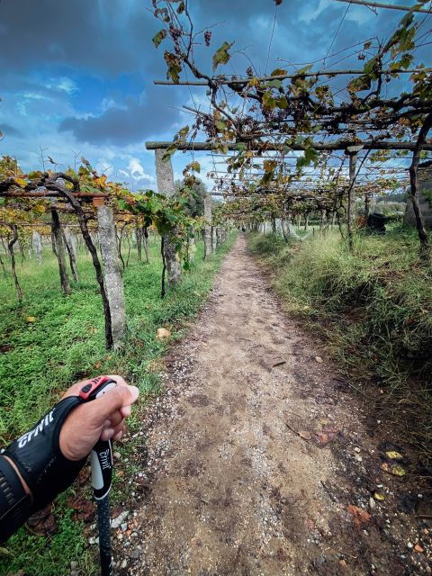 Self-guided Auto Tour of a Breathtaking Place - Booking and Reservation Details