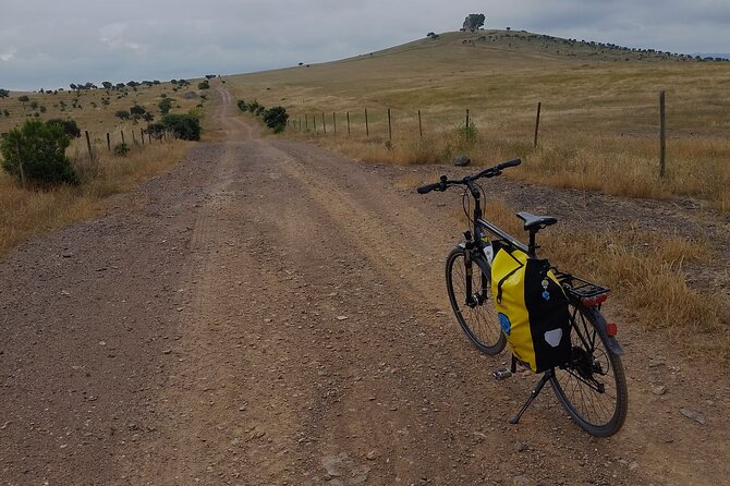 Self-Guided Bike Tour Around Doñana From Seville - Tour Pricing and Transparency
