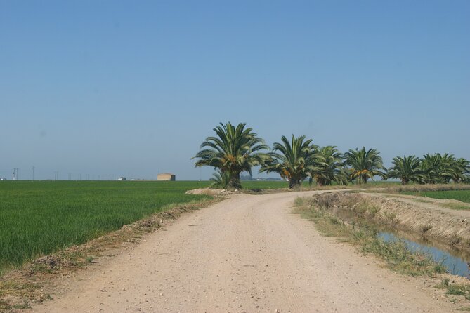 Self-Guided Bike Tour Around Doñana From Seville - Cancellation Policy