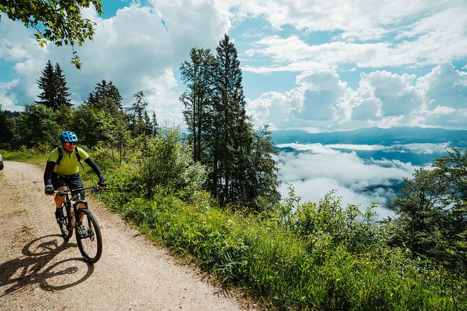 Self-Guided Bike Tour in Slovenia - Reviews and Ratings