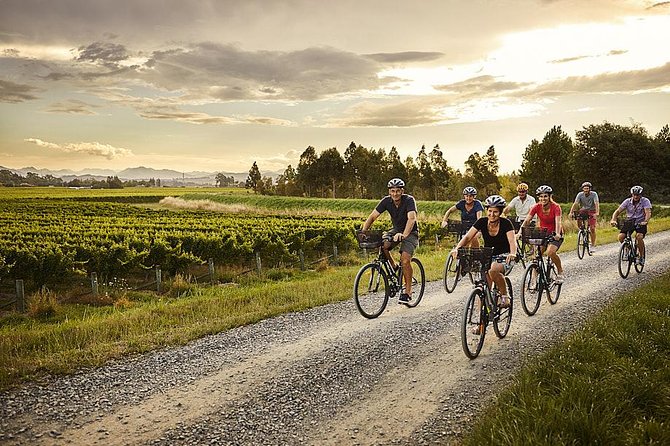 Self-Guided Biking Wine Tour (Full Day) in the Marlborough Region. - Customer Reviews