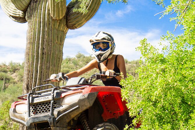 Self-Guided Centipede Desert ATV Rental - Additional Info
