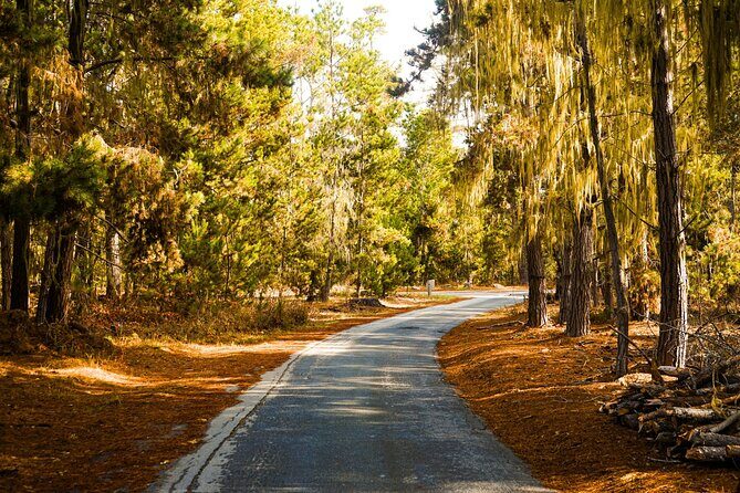 Self Guided Driving Audio Tour of 17 Mile Drive Monterey - Good To Know