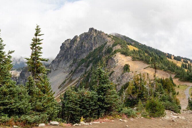 Self Guided Driving Audio Tour of Mount Rainier National Park - Why You Should Consider This Tour