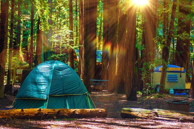 Self Guided Driving Audio Tour of Redwood National and State Park - What Reviewers Say