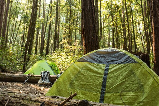 Self Guided Driving Audio Tour of Redwood National and State Park - The Sum Up