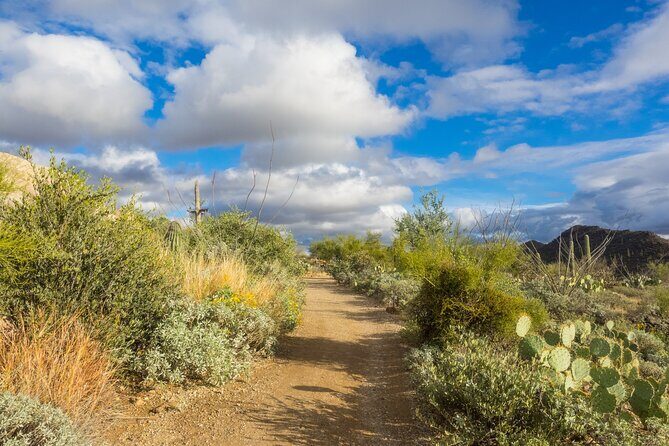 Self Guided Driving Audio Tour of Saguaro National Park - The Itinerary: A Deep Dive into the Highlights