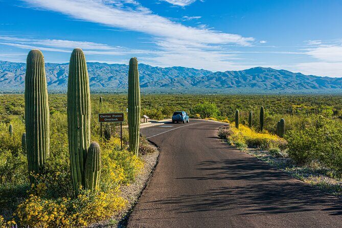 Self Guided Driving Audio Tour of Saguaro National Park - Practical Tips for Making the Most of the Tour