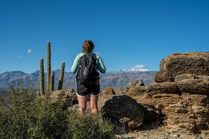 Self Guided Driving Audio Tour of Saguaro National Park - Final Thoughts
