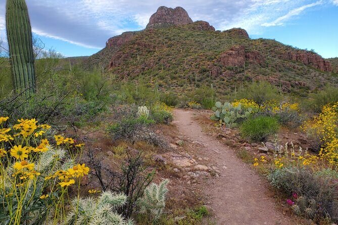 Self Guided Driving Audio Tour of Saguaro National Park - A Closer Look at the Itinerary: From Scenic Overlooks to Cultural Gems