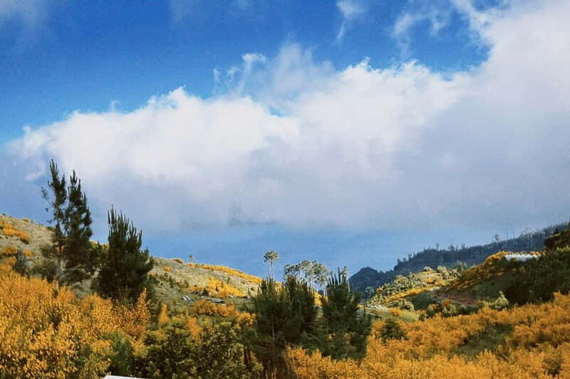 Self-Guided E-Bike Road Tour - Camacha to Monte with Lunch - Good To Know