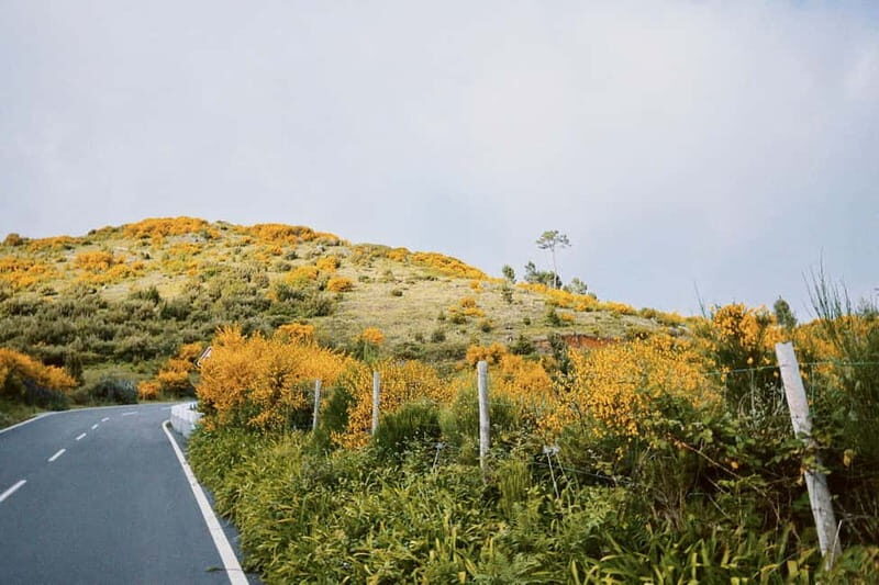 Self-Guided E-Bike Road Tour - Camacha to Monte with Lunch - Final Thoughts