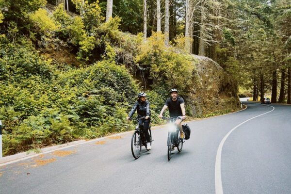 Self-Guided E-Bike Road Tour - Camacha to Monte With Lunch - Customer Feedback