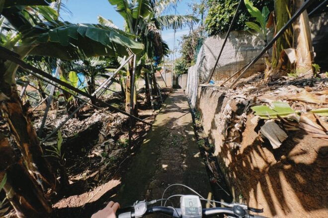Self-Guided E-Bike Road Tour - Funchal to Câmara De Lobos - Participant Restrictions and Requirements