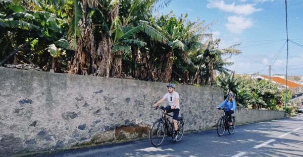 Self-Guided E-Bike Road Tour - Funchal to Câmara De Lobos - Tour Experience and Activities