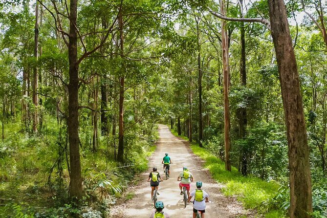 Self Guided E Bike Tour - Unicorn Falls, Rainforest & Rail Trail - Good To Know