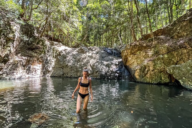 Self Guided E Bike Tour - Unicorn Falls, Rainforest & Rail Trail - Good To Know