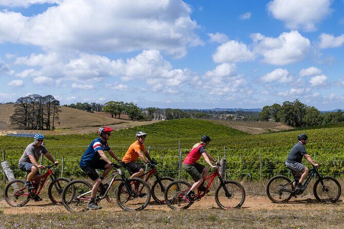Self Guided Ebike Winery Tour in the Adelaide Hills - The Experience in Detail