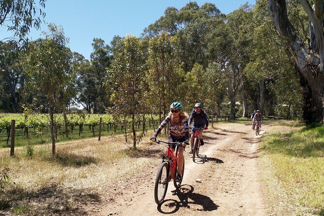 Self Guided Ebike Winery Tour in the Adelaide Hills - The Sum Up