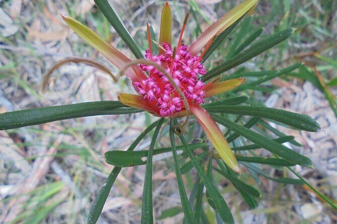 Self Guided Electric Bicycle Tour of Bundanoon - FAQ