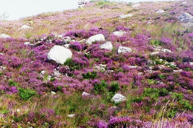 Self Guided Electric Bike Tour of Historical Sites in the Burren Co Clare - Safety Guidelines