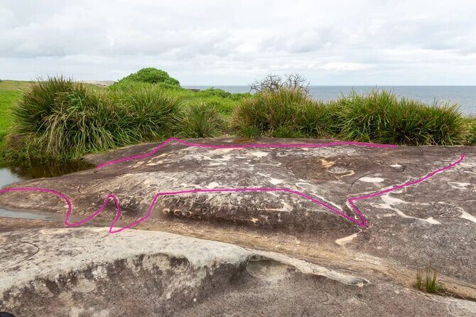 Self Guided Electric Bike Tour of Sydney Beaches - Who Would Love This Tour?