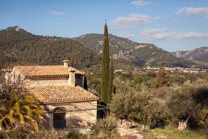 (Self Guided) Electric Scooter Tour in the Countryside Mallorca! - Cancellation Policy Details