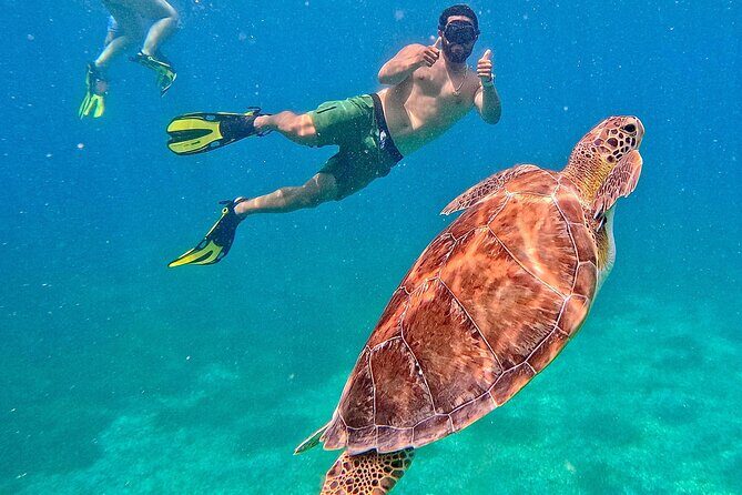 Self Guided Experience of Culebra with Transfer from San Juan - An In-Depth Look at the Experience