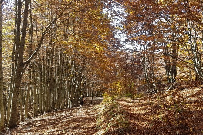 Self-Guided: Hiking Tour of Theth, Valbona & Koman Lake in 6 Days - Itinerary Highlights