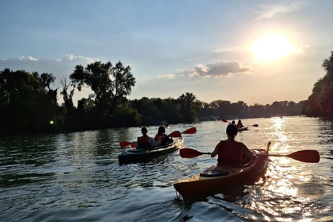 Self-Guided Kayak Tour in Belgrade - Tour Highlights