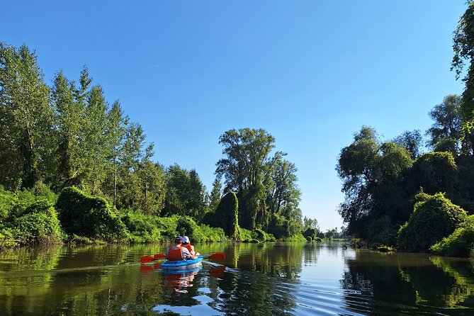 Self-Guided Kayak Tour in Belgrade - Pricing and Reviews