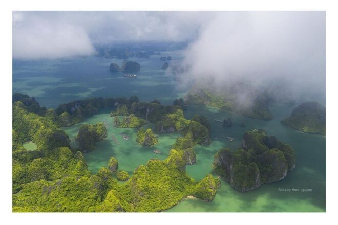 Self Guided Kayaking Tours in Less Traveled Lan Ha Bay - Encounter Local Wildlife Up Close