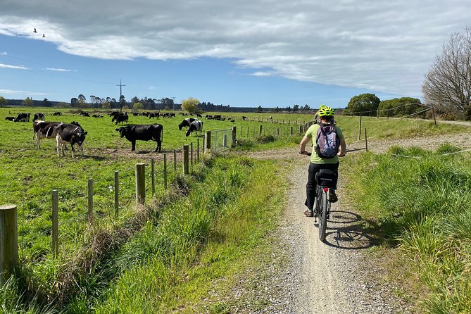 Self-Guided Nelson to Mapua Cycle Adventure - Common Questions