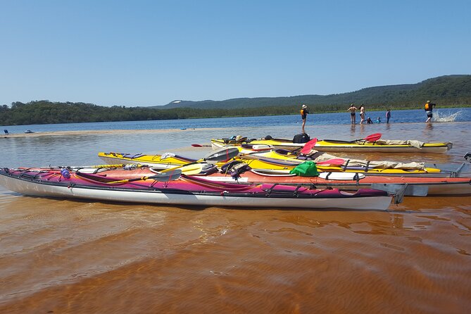 Self-Guided Noosa Everglades Kayak Tour - Overview and Meeting Point