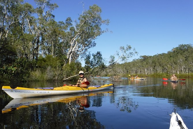 Self-Guided Noosa Everglades Kayak Tour - Tour Details