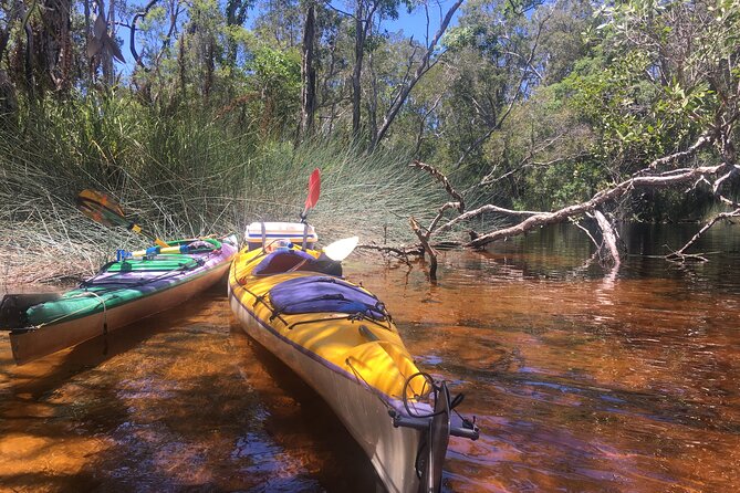 Self-Guided Noosa Everglades Kayak Tour - Additional Information