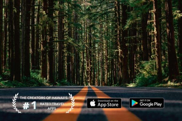 Self-Guided Olympic National Park Audio Tour Guide - Park Facilities and Accessibility
