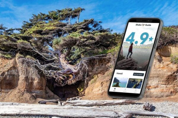 Self-Guided Olympic National Park Audio Tour Guide - Exploring Hurricane Ridge, Hoh Rainforest, and Ruby Beach