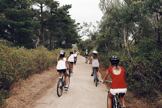 Self-Guided Point Nepean National Park Bike Hire - Start Time and Meeting Point