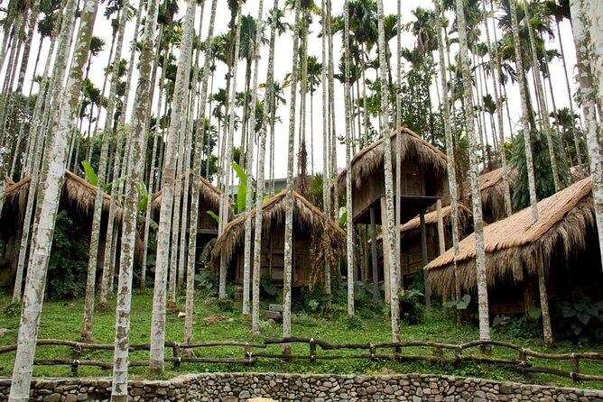 Self-Guided Private Day Tour: Ticket For Binlang Ethnic Village With Chauffeur Service - Tour Pricing and Booking Information