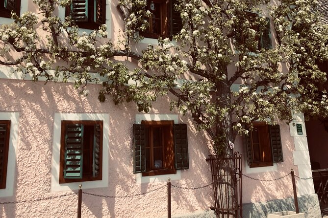 Self-Guided Private Tour of Hallstatt. Best Photo-Points, Panoramic Views, Cafes - Charming Cafes in Hallstatt for a Refreshment Break
