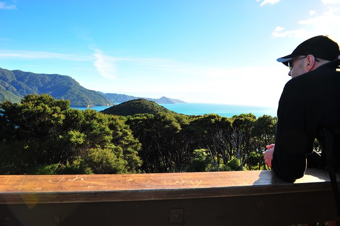 Self-Guided Queen Charlotte Track Walk From Picton - Pricing and Booking