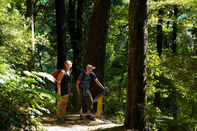 Self-Guided Queen Charlotte Track Walk From Picton - Overview of the Activity