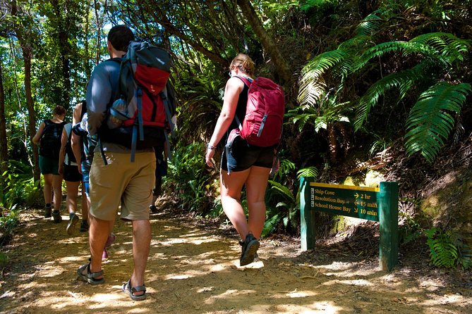 Self-Guided Queen Charlotte Track Walk From Picton - Traveler Photos and Reviews