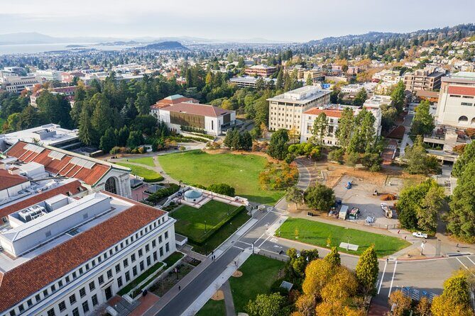 Self Guided Scavenger Hunt San Diego Arts and Museums - Good To Know