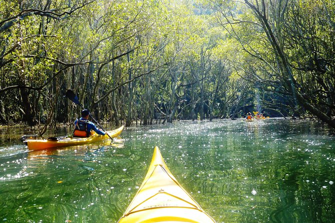 Self-Guided Sydney Middle Harbour Kayak 3 Hour Tour by Single Kayak - Meeting and Pickup