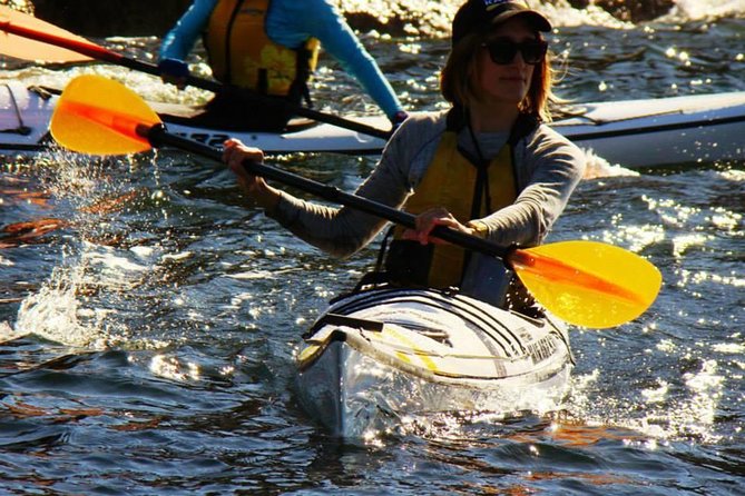 Self-Guided Sydney Middle Harbour Kayak 3 Hour Tour by Single Kayak - Cancellation Policy