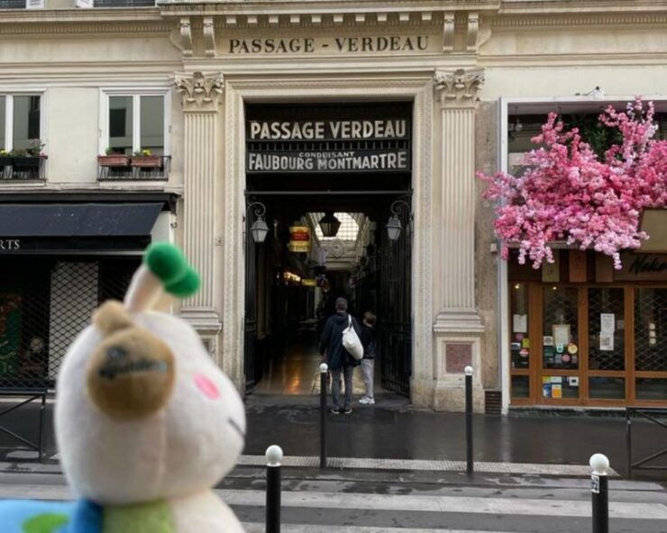 Self-guided Tour Covered Passages in Paris - Tour Details