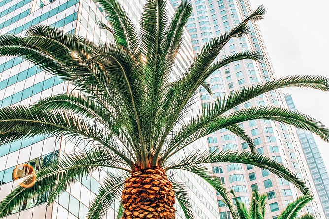 Self-Guided Tour of Downtown Los Angeles With Fun Facts and Best Photo Ops - Vibrant Atmosphere and Photo Opportunities